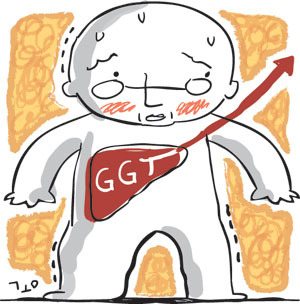 감마지티피 높으면