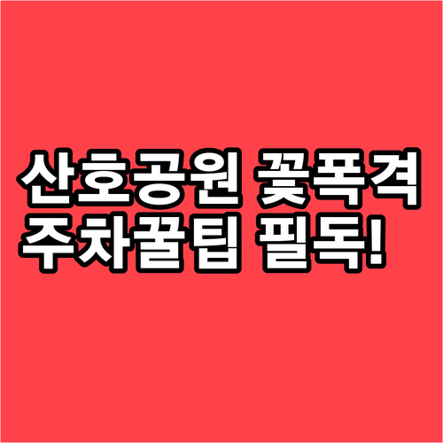 3월에 꼭 가야 할 마산 명소 산호공..