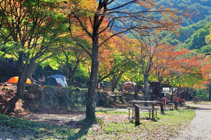 남원시 뱀사골 힐링야영장 소개