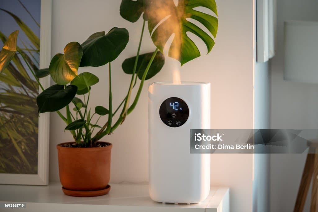 스마트 조명과 온습도 조절기로 가드닝 성공하기