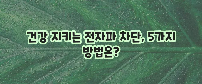 전자파 인체 영향 5가지 차단 방법 꼭 알아야겠죠?