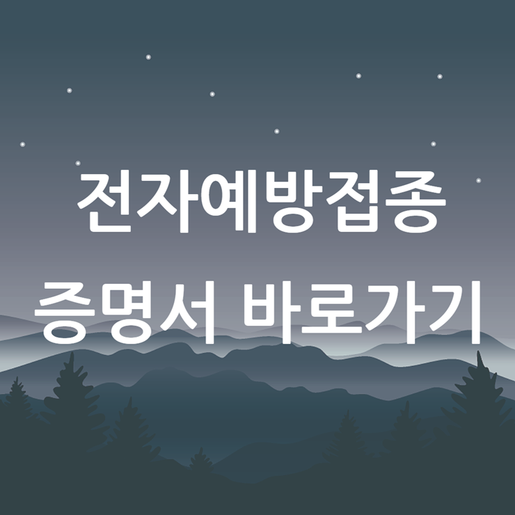 전자예방접종증명서