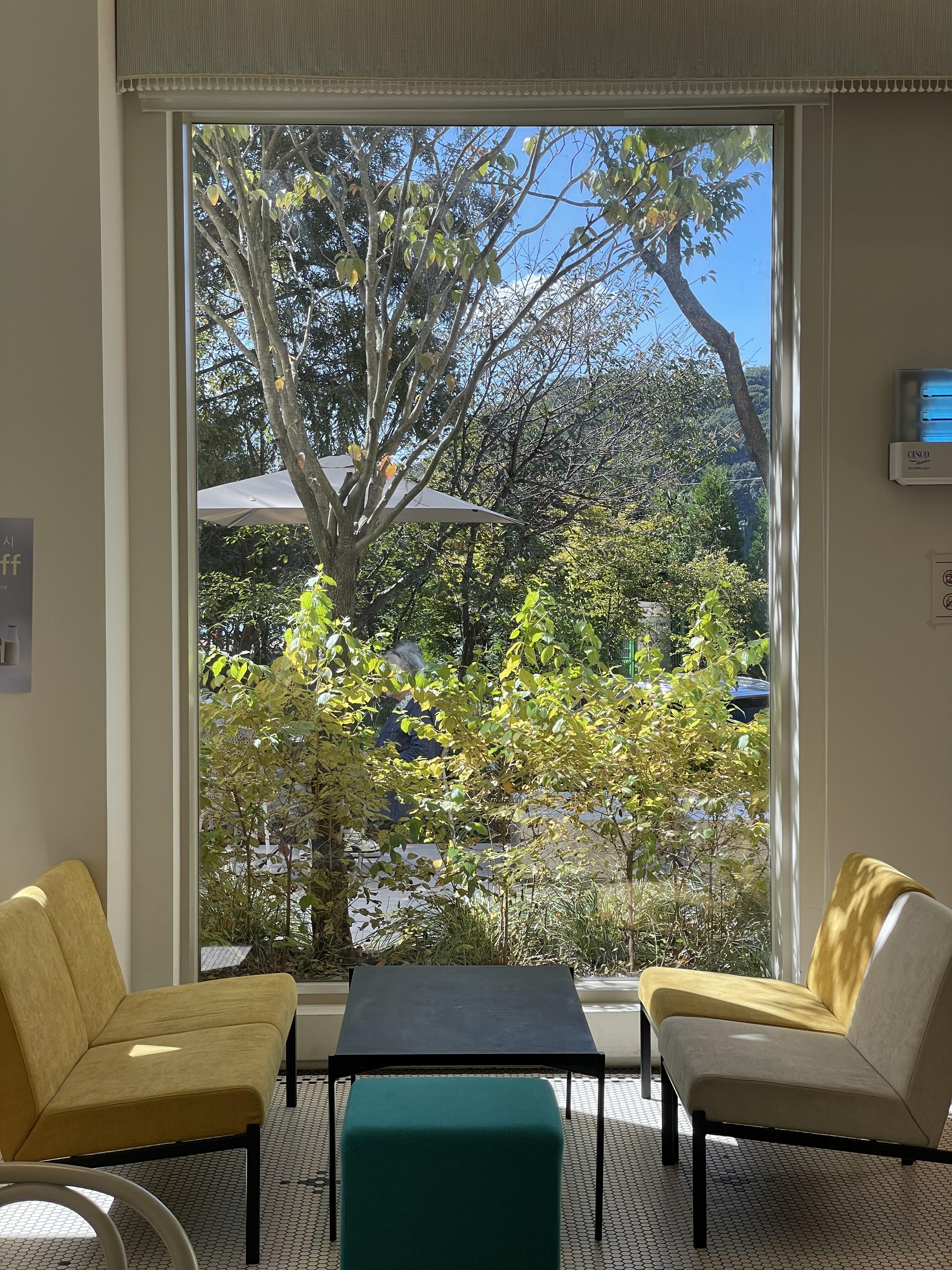 파주 공릉저수지 대형카페 모쿠슈라 프렌치카페