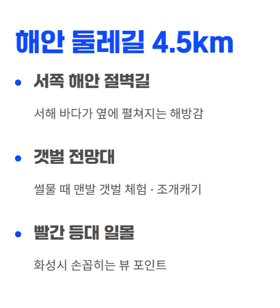 화성시 산책·달리기·트레킹 명소 완벽 가이드