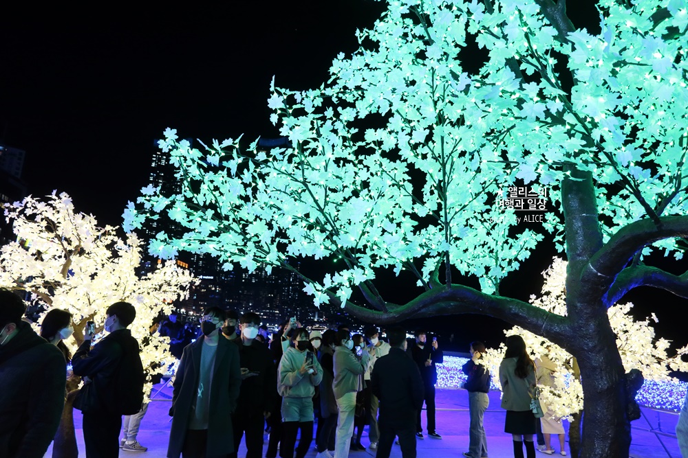 2022 제 9회 해운대 빛축제 빛의 바다 기본정보 위치 시간