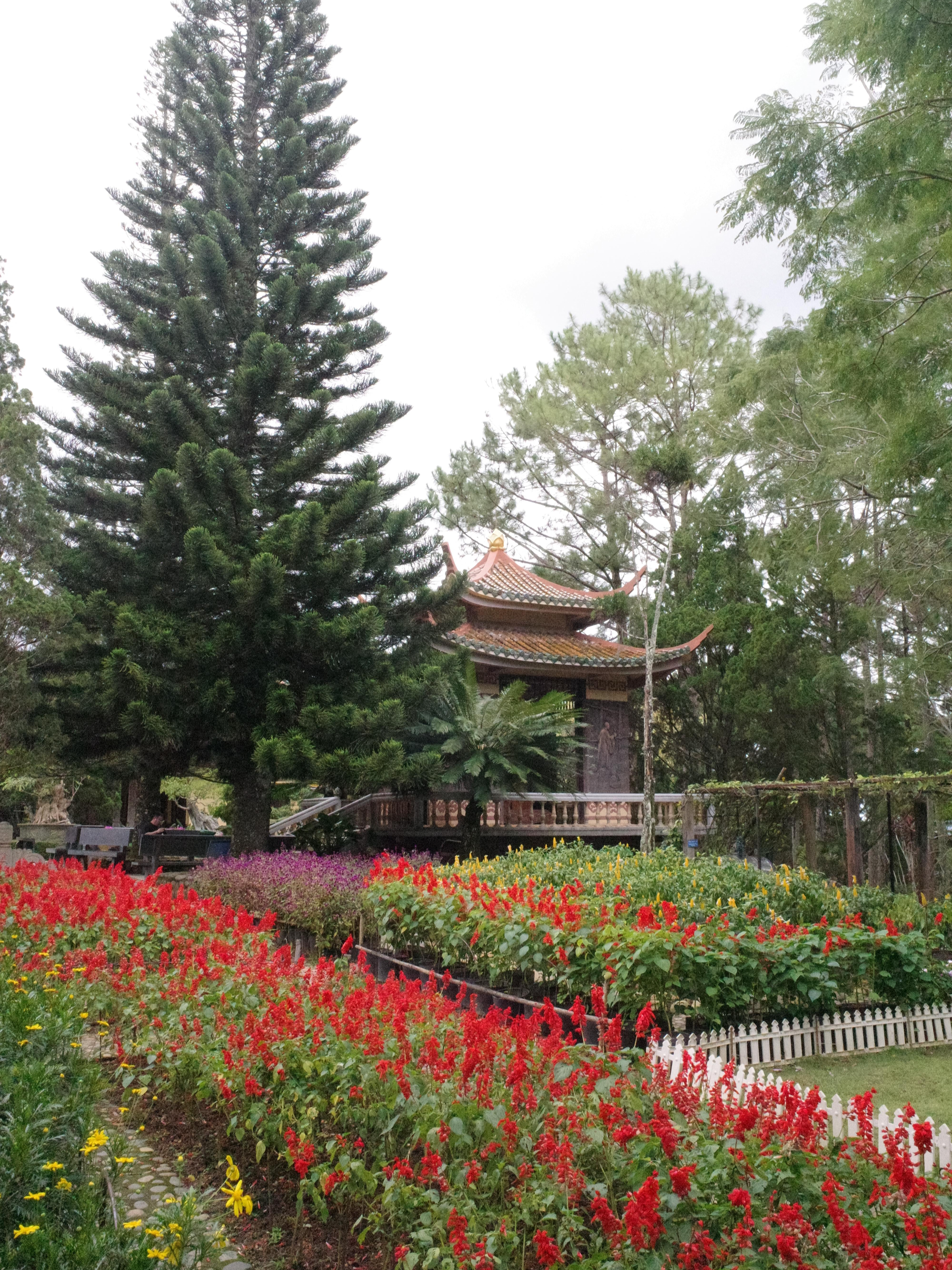 Tr&uacute;c L&acirc;m Zen Monastery 죽림선원