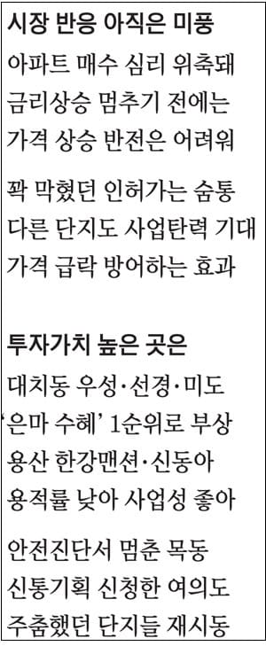 대치 이촌 목동 등...은마에 올라탈 재건축 차기주자들