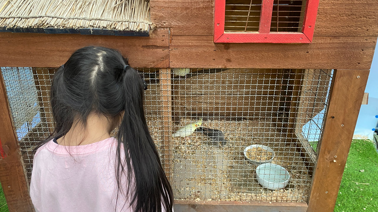 태안 가을꽃박람회의 미니 동물농장에서 앵무새를 만나다.