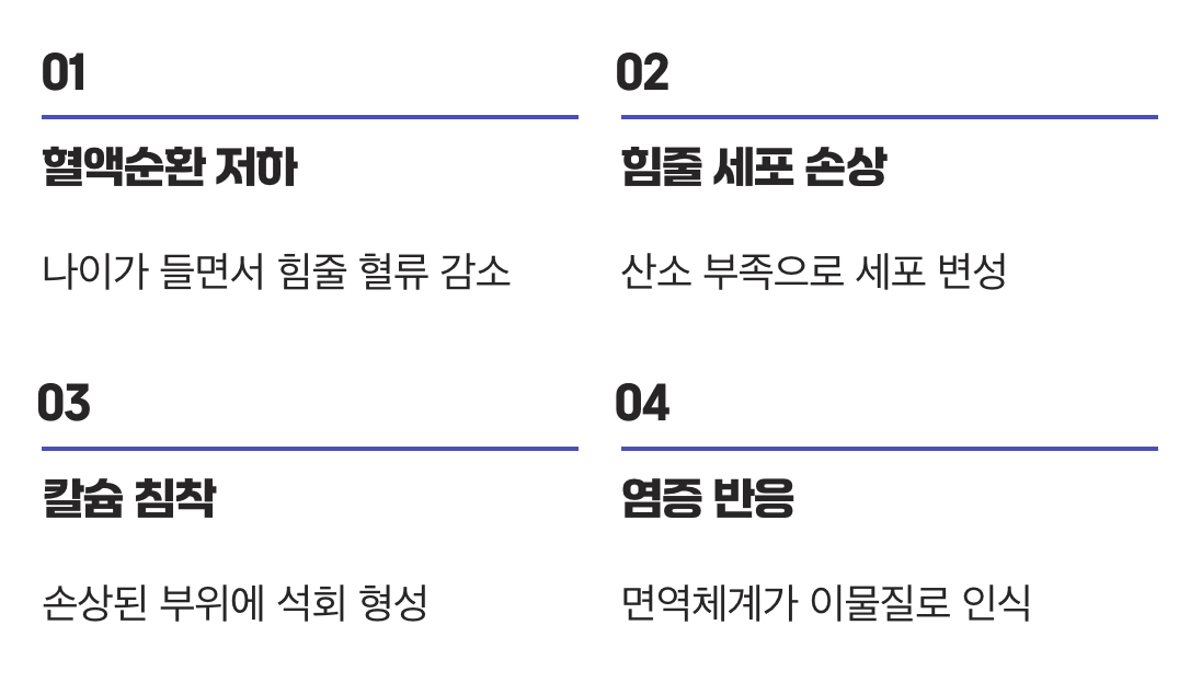 어깨에 왜 '돌'이 생길까?