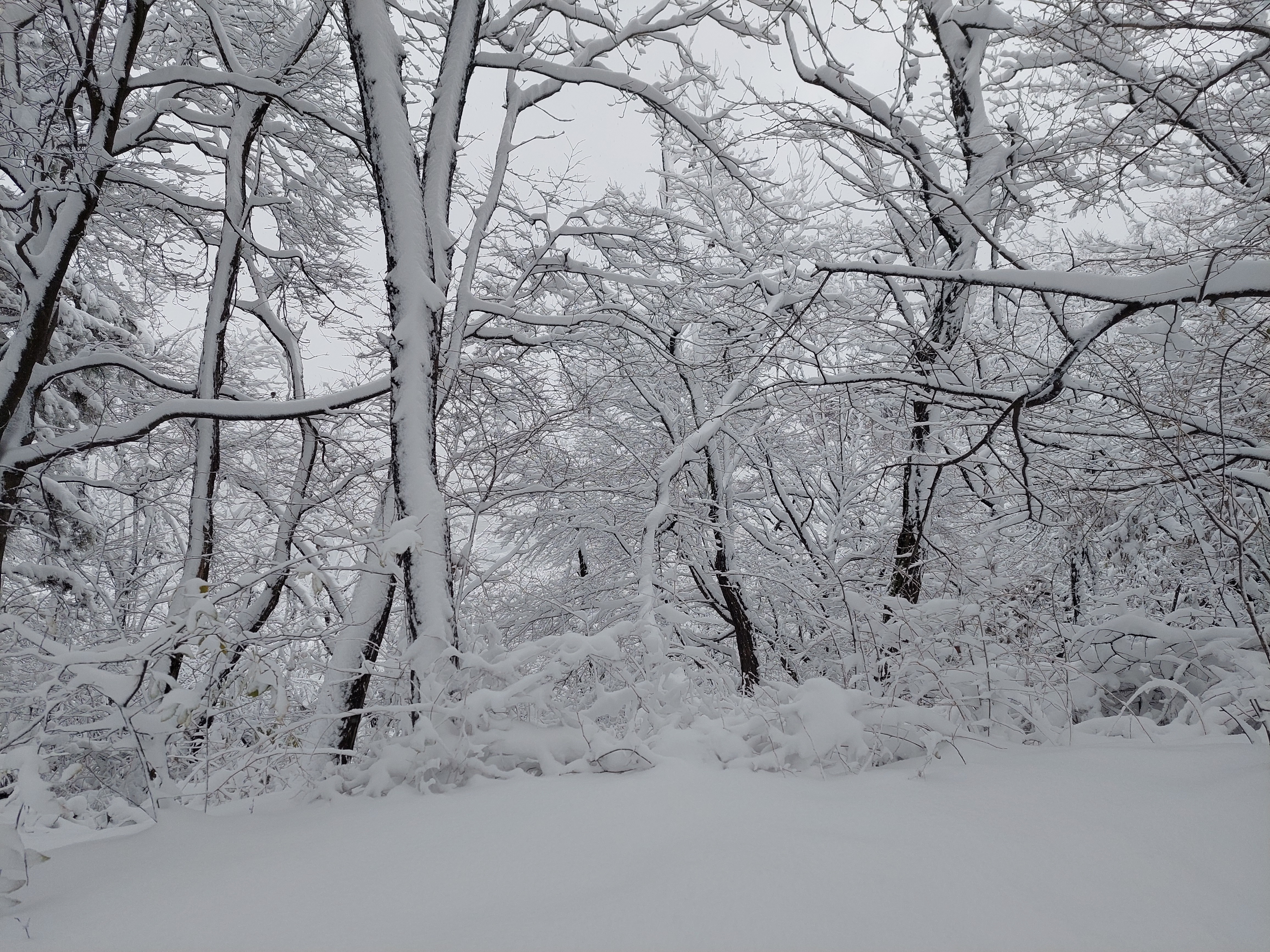 백련산안산