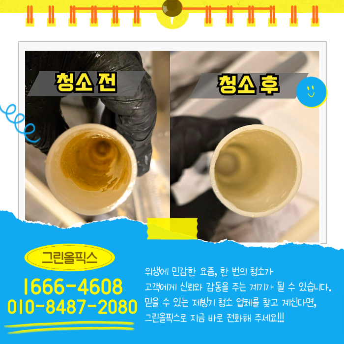 그린올픽스 청소 전 후