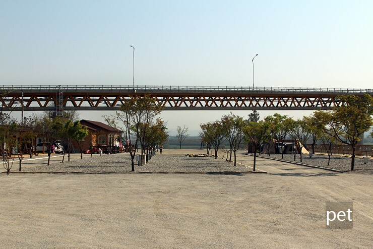 경기-연천-캠핑브릿지캠핑장-예약-방법-애견-동반-가격-주소-시간-후기