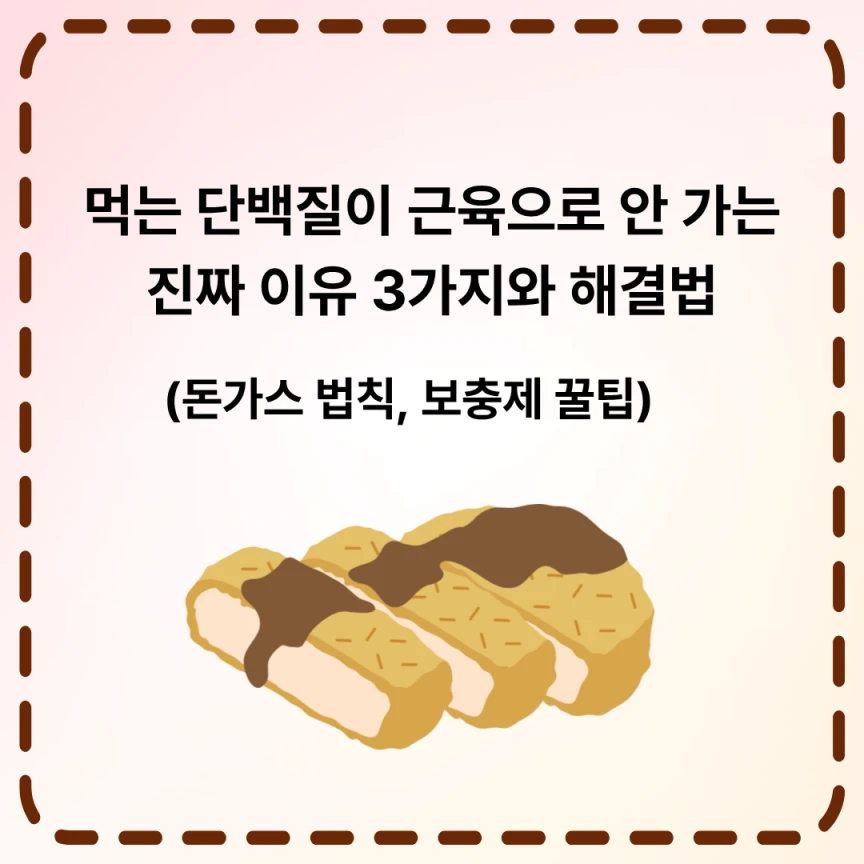 먹는 단백질이 근육으로 안 가는 진짜 이유 3가지와 해결법 (돈가스 법칙, 보충제 꿀팁)