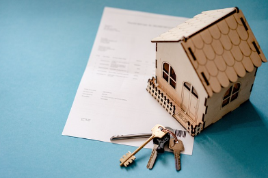 서울 그린벨트 해제