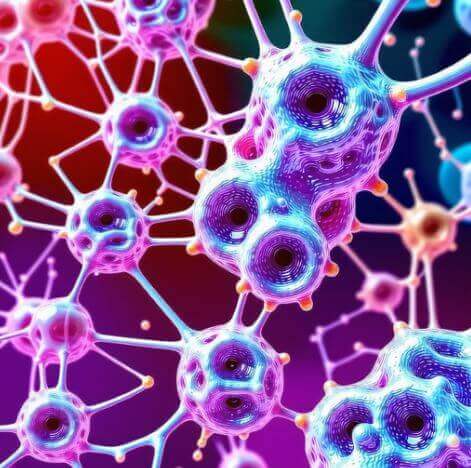 콜라겐-제품-종류와-선택-방법2