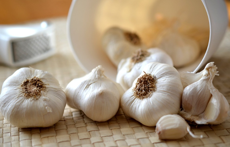 마늘의 효능