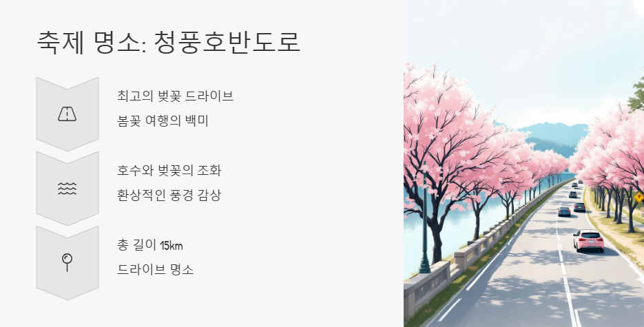 제천 청풍호 벚꽃축제 소풍 주차 맛집 총정리