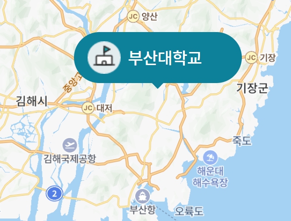 부산대 수시/정시등급 확인하기[2024학년도 결과]