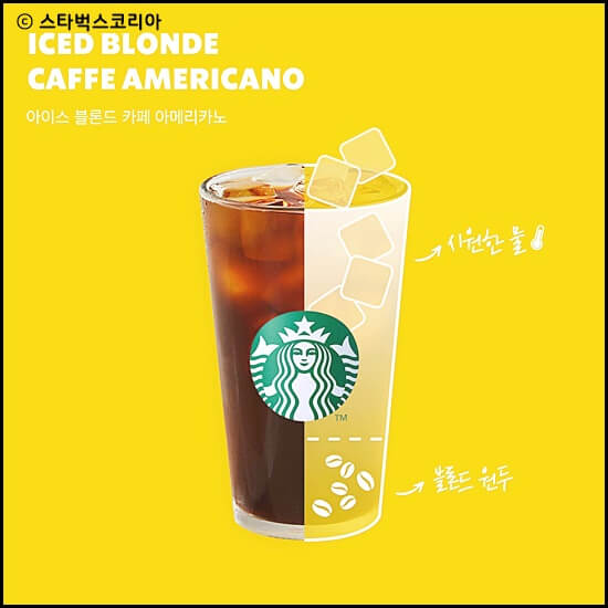 스타벅스서머캐리백