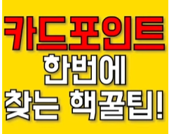 카드포인트
