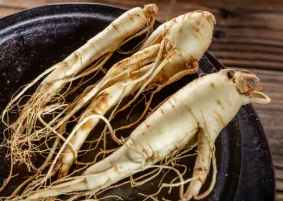 산삼배양근 효능 총정리 1