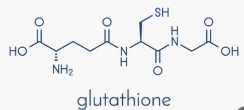 글루타치온(Glutathione)