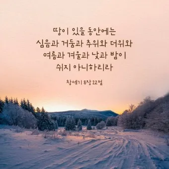 창세기 8장 홍수 후 새로운 시작을 위한 감사의 묵상과 기도_5