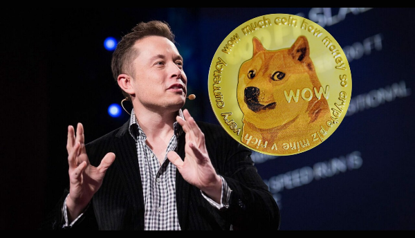 도지코인과 일론머스크