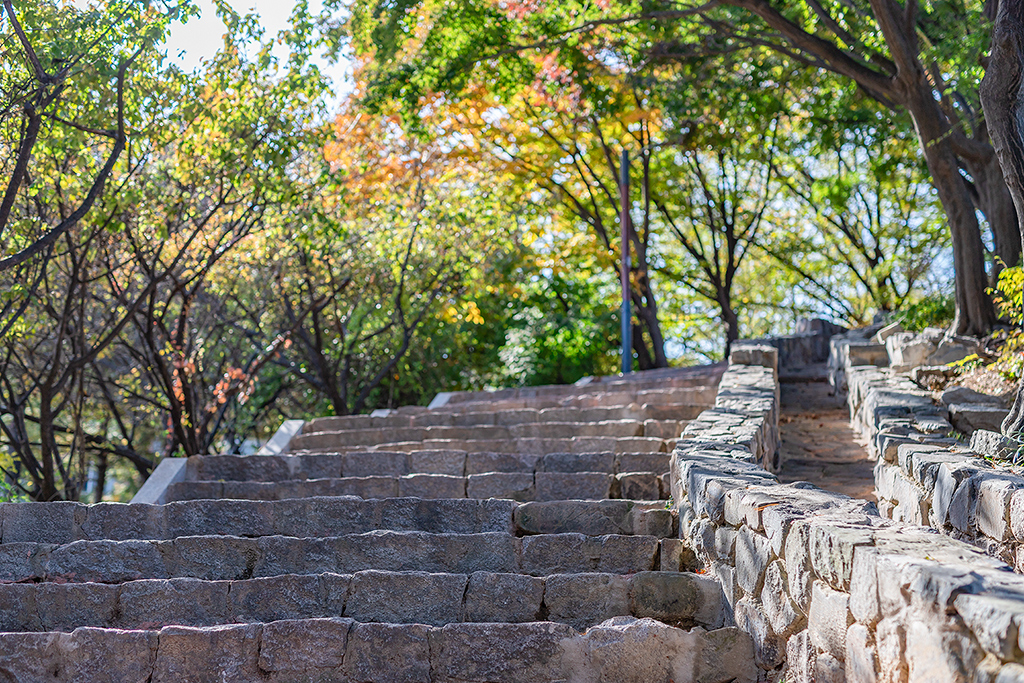 혜화문
성북동
한양도성길
백악구간
서울여행
서울단풍
가을단풍
단풍