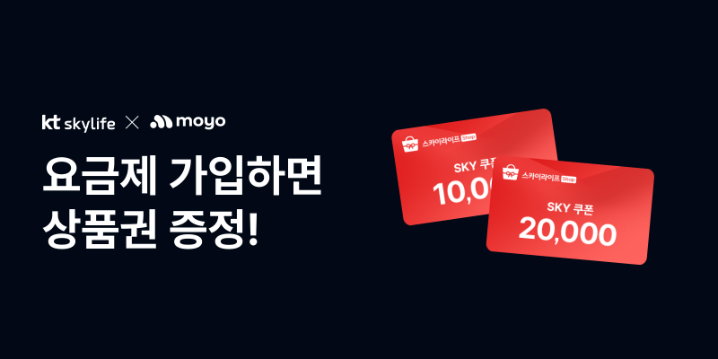 모요 2