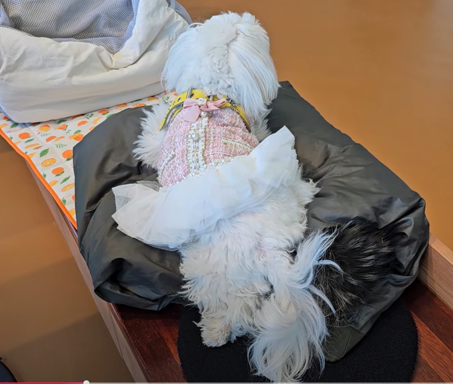 조댕이네 카페에 앉아 있는 라떼