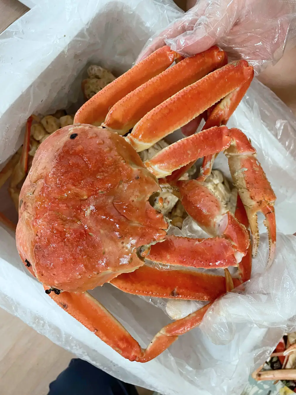 마가단 대게 빨갛게 쪄 있는 모습