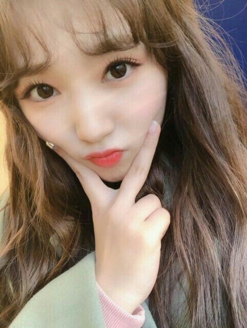 아이즈원 야부키나코 아이즈원 야부키나코