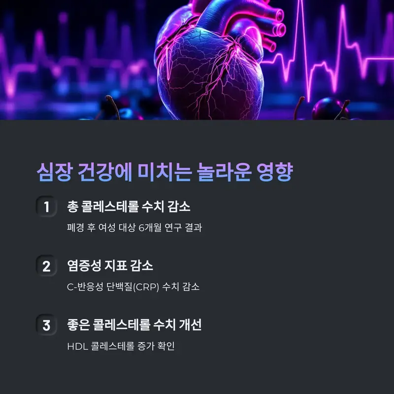 심장을 중심으로 푸룬의 심혈관 건강 효과 설명 인포그래픽