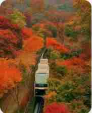 화담숲 모노레일 예약 3분 완벽 가이드