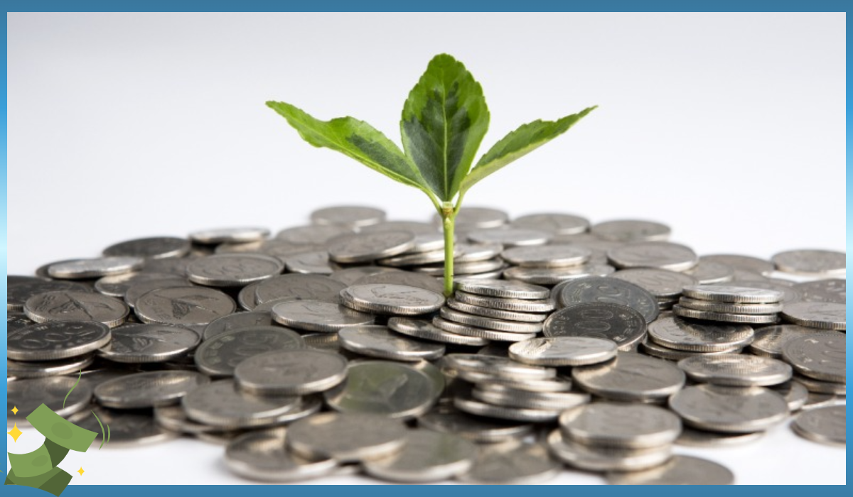 K패스 체크카드