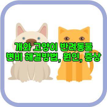 개와 고양이 반려동물 변비 해결방법, 원인, 증상