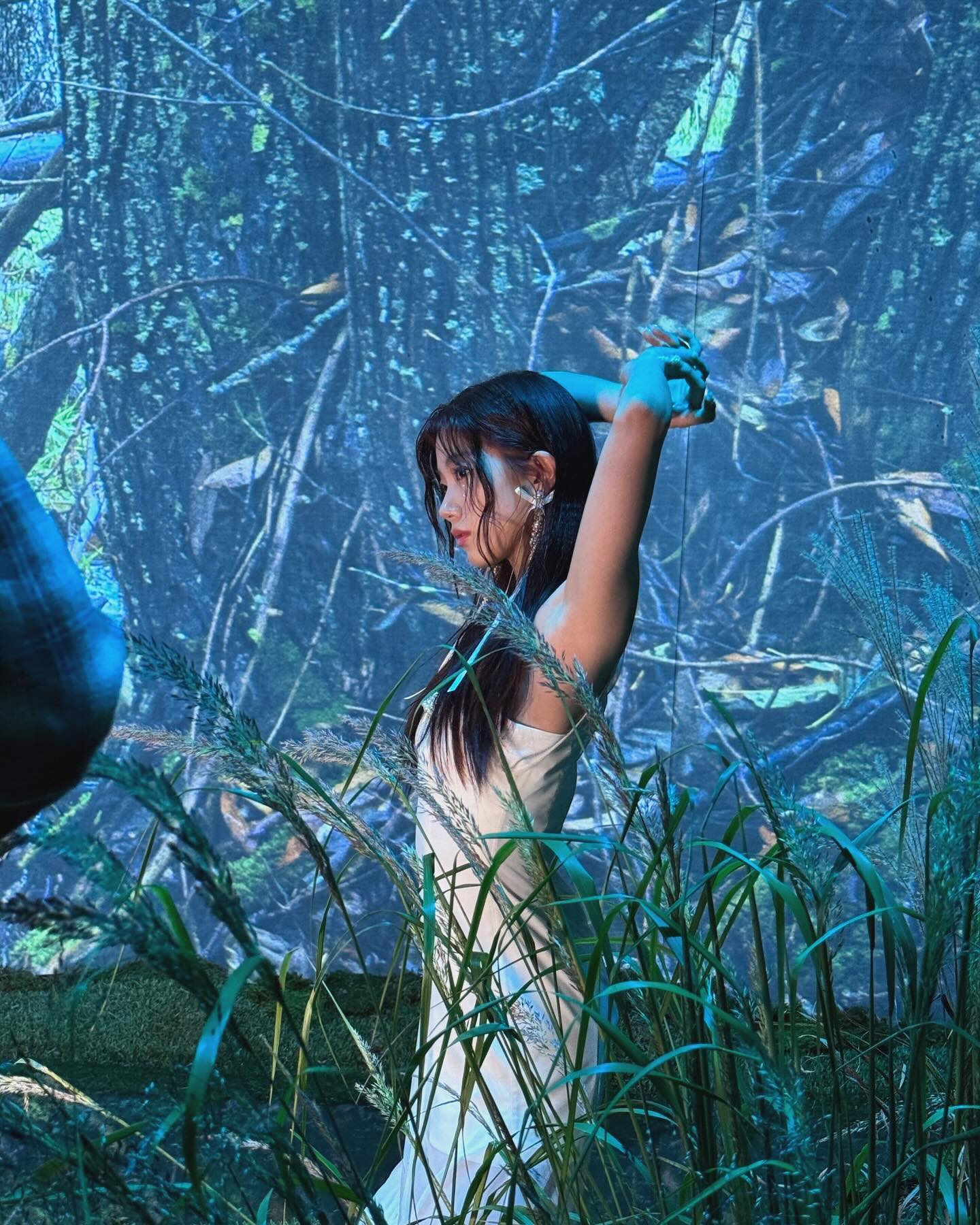 르세라핌 멤버 / 홍은채, 카즈하, 허윤진, 김채원, 사쿠라