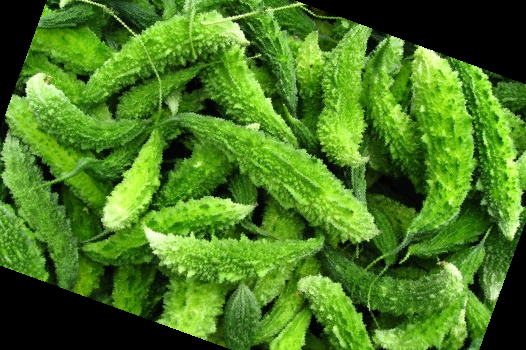 여주 효능 부작용