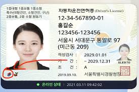 모바일 운전면허증