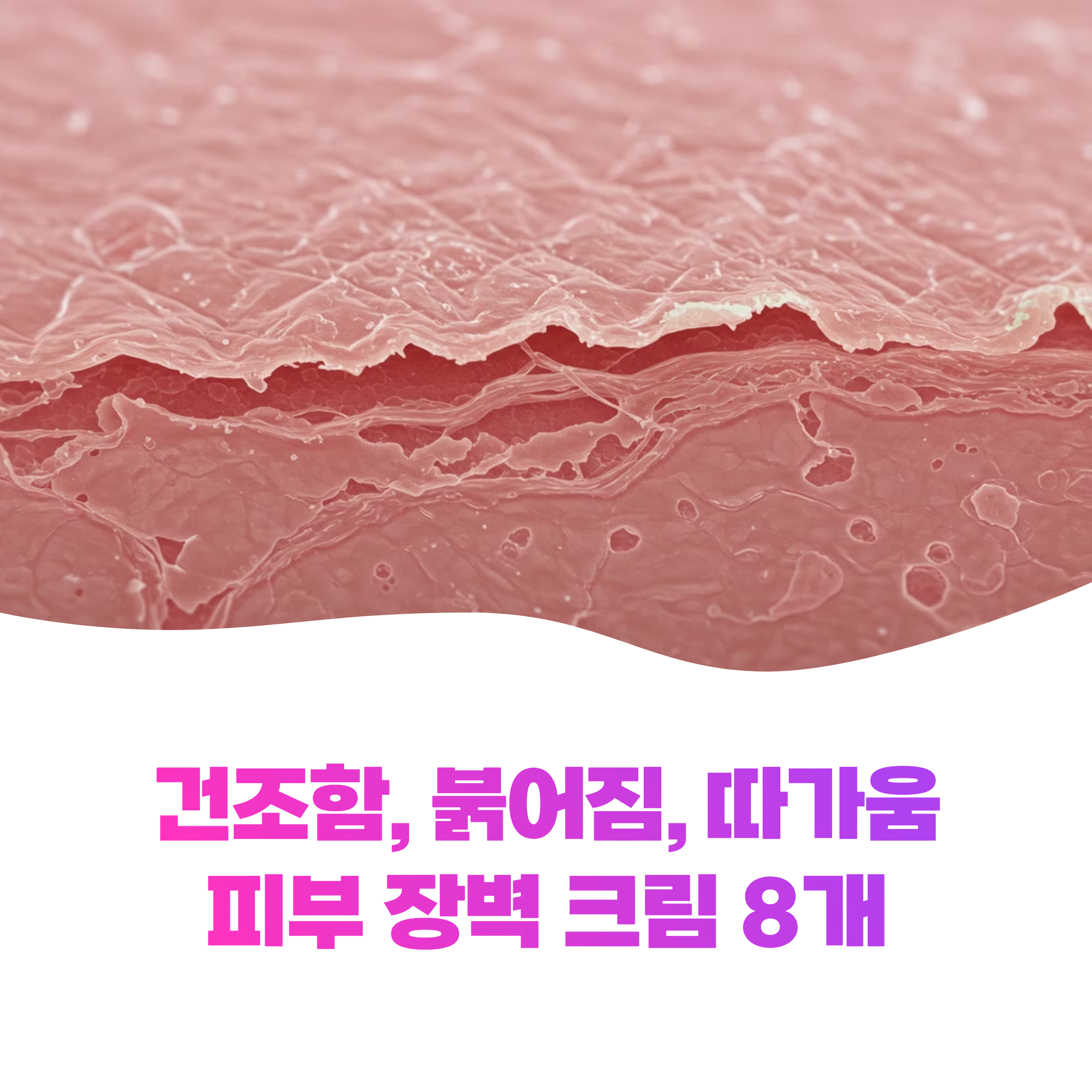 장벽 강화 크림 추천 7가지, 성분 제대로 이해하고 고르는 방법