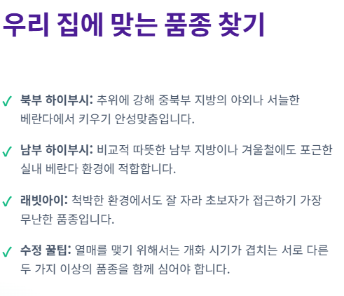 블루베리 키우기
