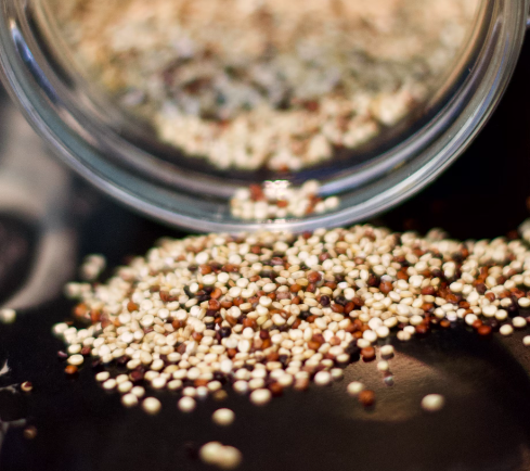 퀴노아 효능 : 항산화 효과