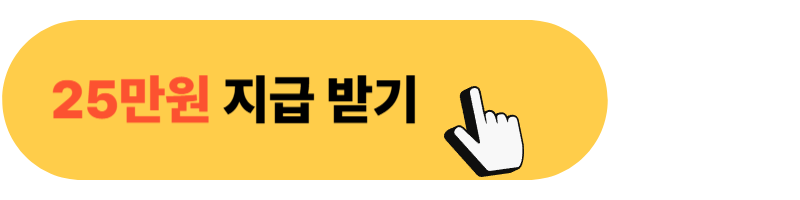 민생회복소비쿠폰