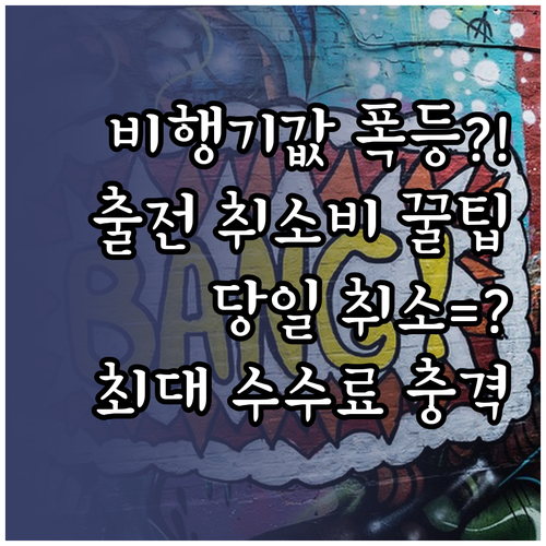 말레이시아항공 취소 수수료, 출발 가..