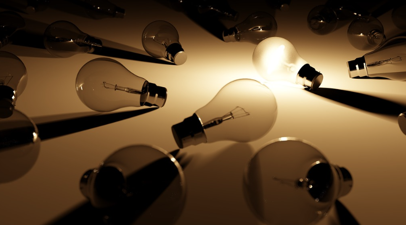 비트버니 오늘의 상식 퀴즈 정답 공개