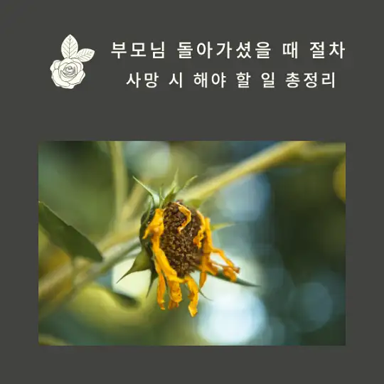 부모님 돌아가셨을 때 절차