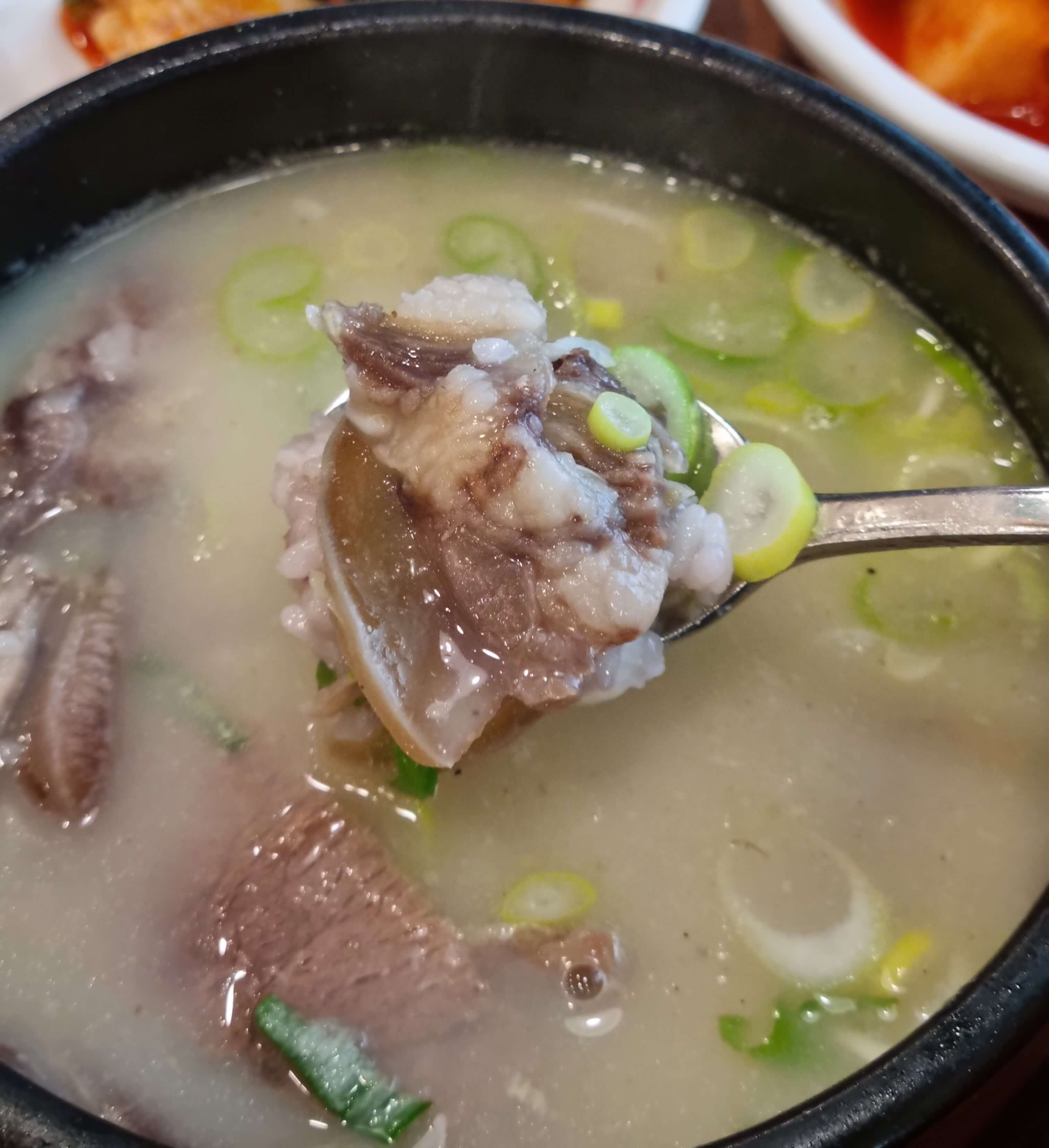원조꼬리곰집