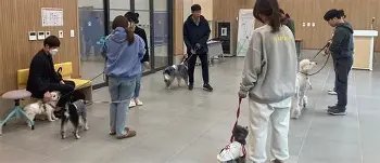 강아지 분리불안 훈련법