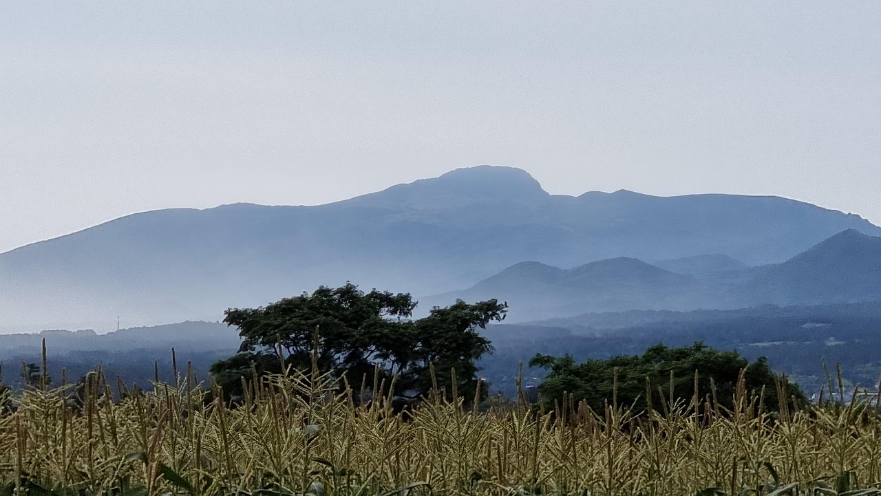 한라산 백록샘 사전 예약 방법